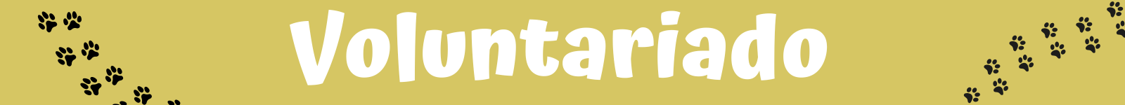 voluntariado